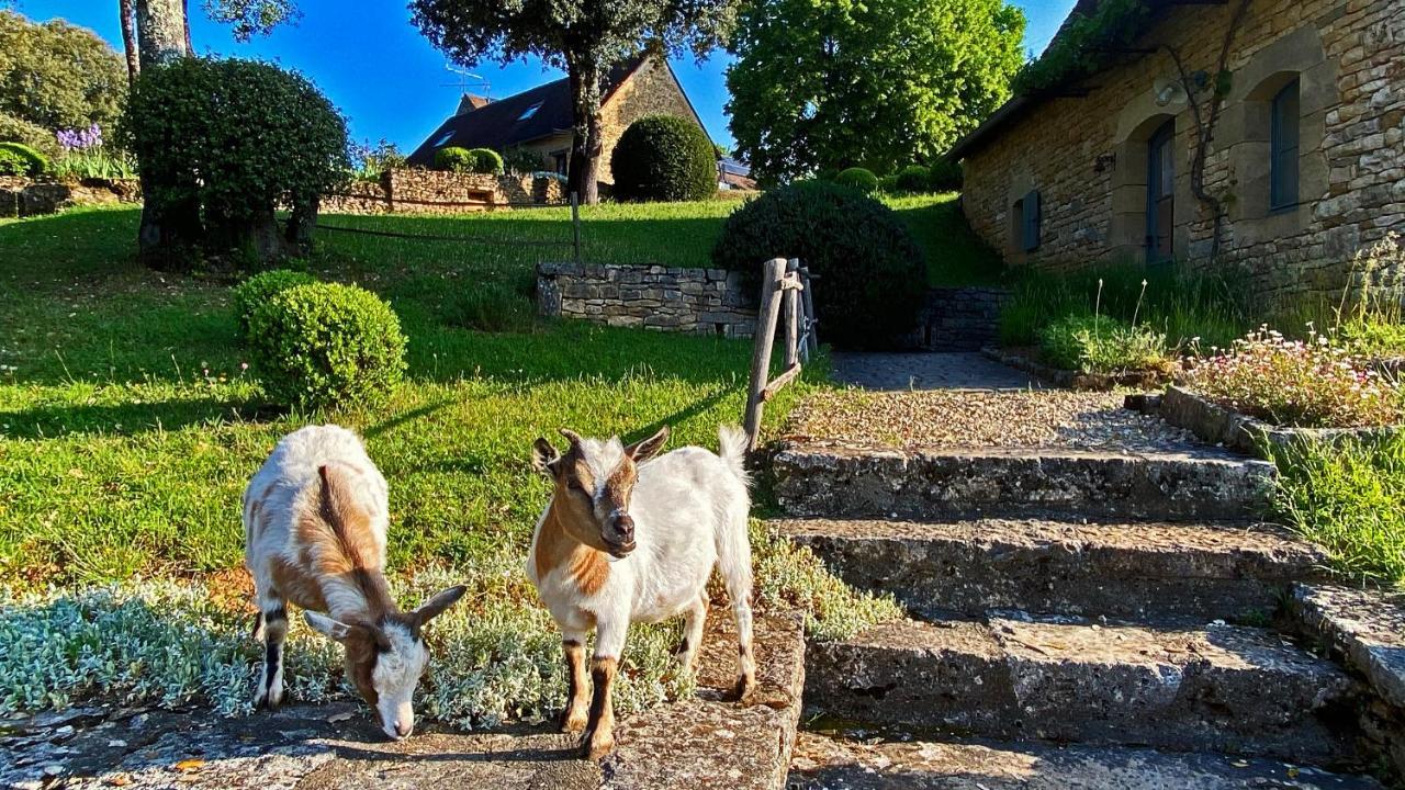 サルラ・ラ・カネダ Eco-Hameau Du Sentier Des Sourcesヴィラ エクステリア 写真